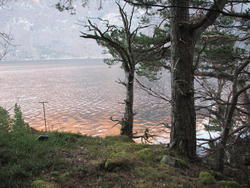 Seilingsleden ut Sunndalsfjorden i jernalderen– fra gravrøys