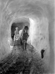 Brakkeliv og kokkas innsats