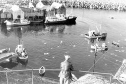 Havneparti med båter og bebyggelse, Ona i Sandøy i Møre og R