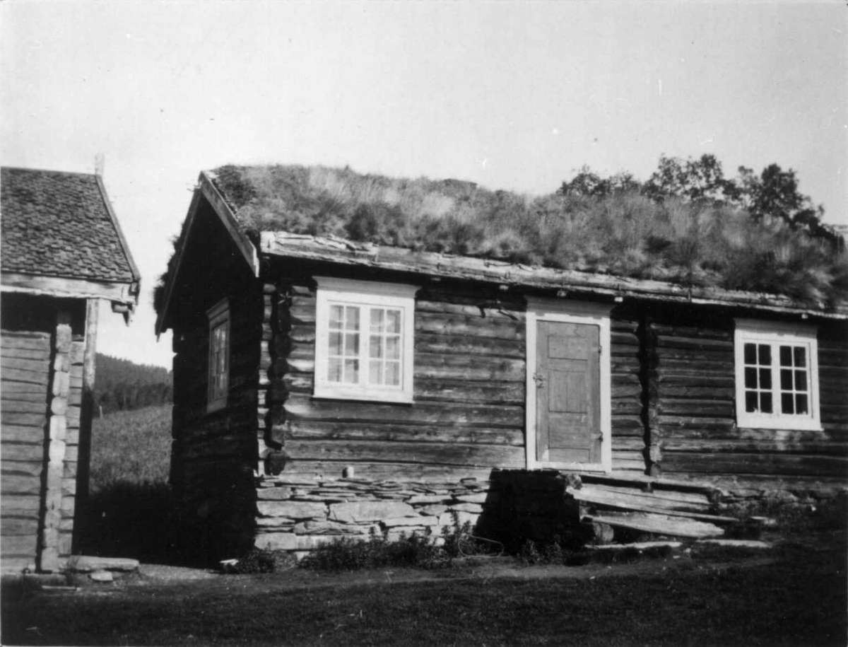 Dalen, Fåset, Tynset, Hedmark 1921. Mønsaasstue.