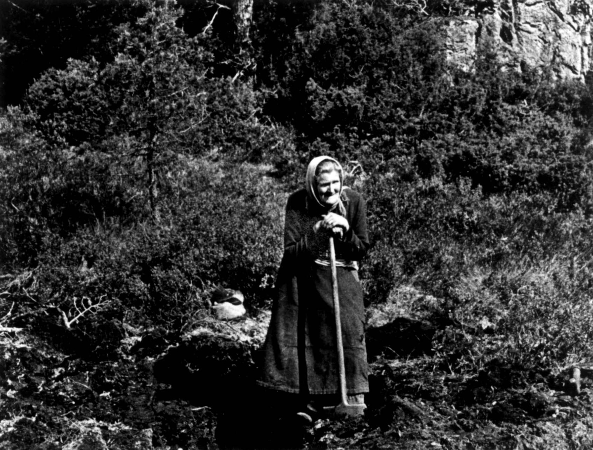 Ingeborg A. Lindland, født 1877, står ute. Fjotland, Kvinesdal, Vest-Agder 1941.