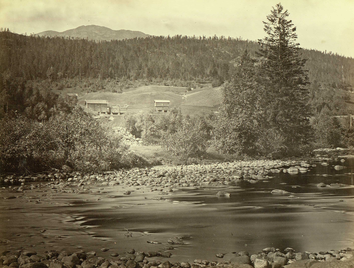 Landskap, Hjartdal ("Hjerdal"), Telemark, elveparti med gårdstun i bakgrunnen.
Fra serie norske landskapsfotografier tatt av den engelske fotografen Henry Rosling (1828-1911).