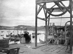 Kiberg fiskevær. Kvinne sittende på kasse på brygge. Fjord, 