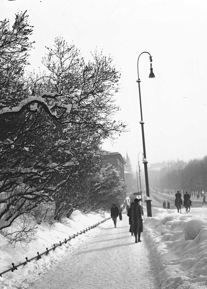 Vinterbilde fra Slottsbakken mot Karl Johans gate, Oslo.