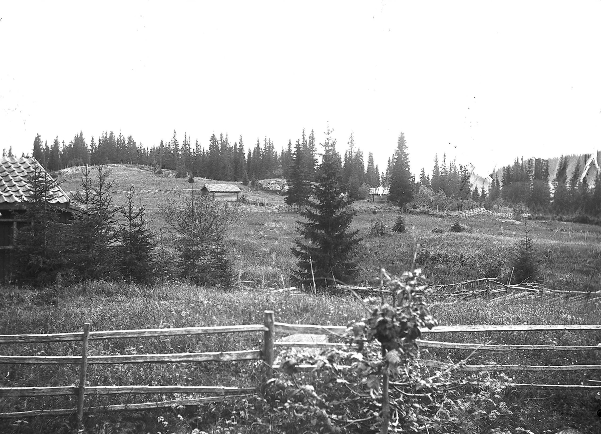 Setervollen med bebyggelse på Holoa seter, Hadeland, Jevnaker, Oppland, 1903.