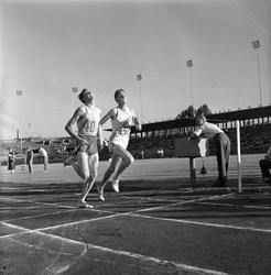 Serie. NM i friidrett ant. Bislett.
Fotografert 1955.