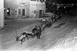 Serie. Vinteruke for turister på Geilo, med reinsdyrkjøring 