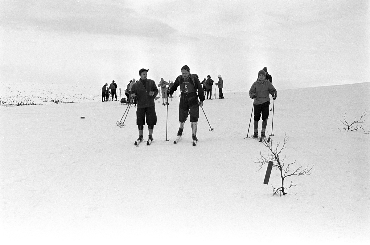 Deltaker med startnummer 5 i sporet. Publikum langs løypa. Birkebeinerrennet fra Rena til Lillehammer 1963.