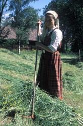 Hesjing i friluftsmuseet.
Kvinnelig vert i drakt raker høye