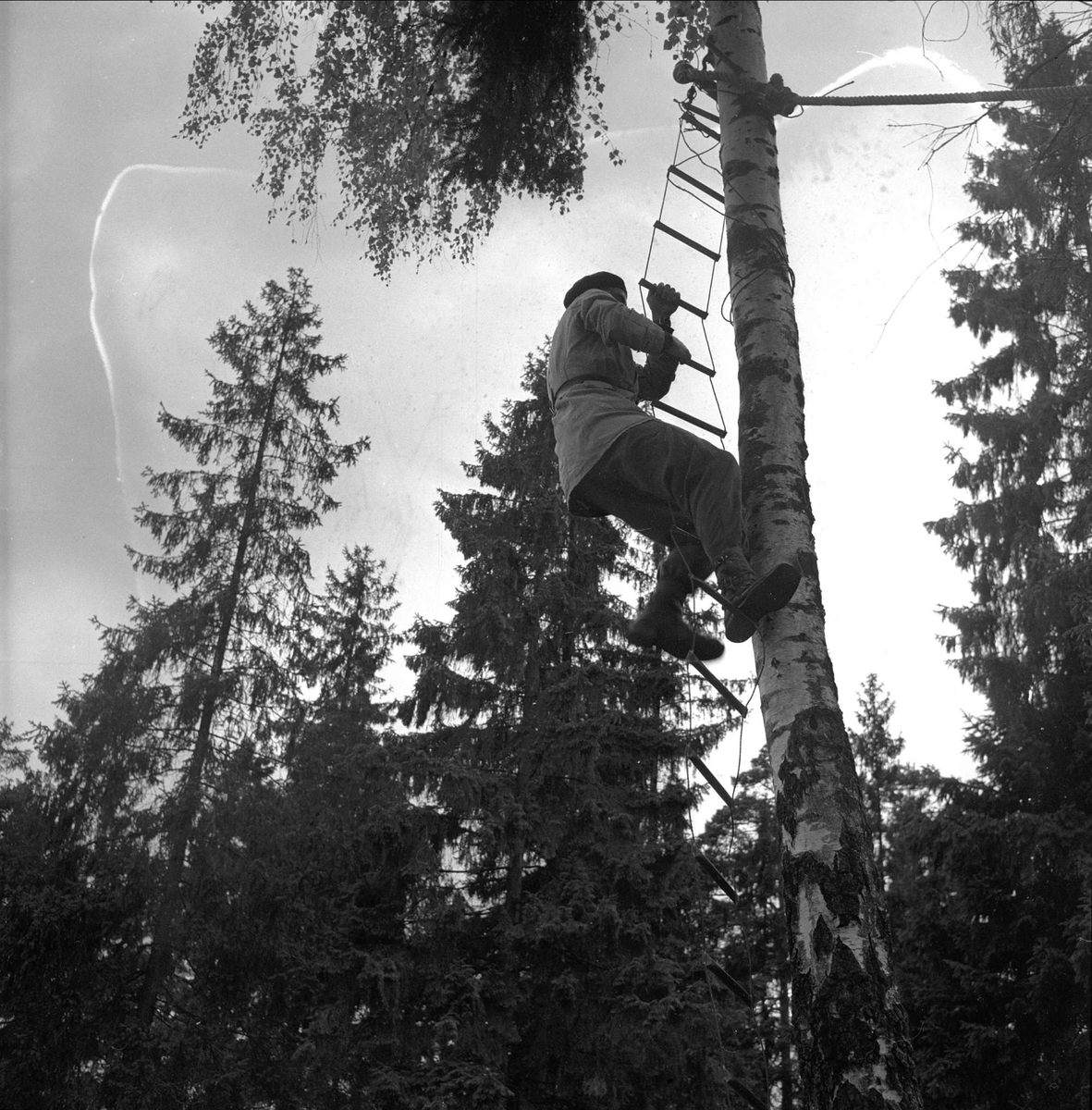 Politistudent klatrer i taustige. Oslo før 1954. Politiskolens trening i Gaustadskogen.