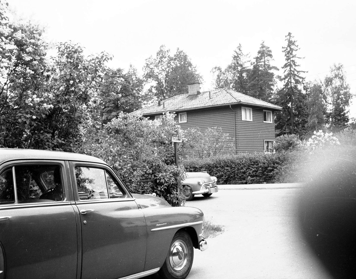 Hus, hage og biler. 21.06.1956.