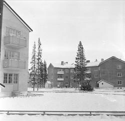 Mo, Rana, Nordland, 18.11.1954. Mayers forretningsbygg