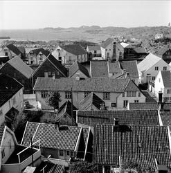 Skudeneshavn, Karmøy, Rogaland, 29.05.1954. Oversiktsbilde.