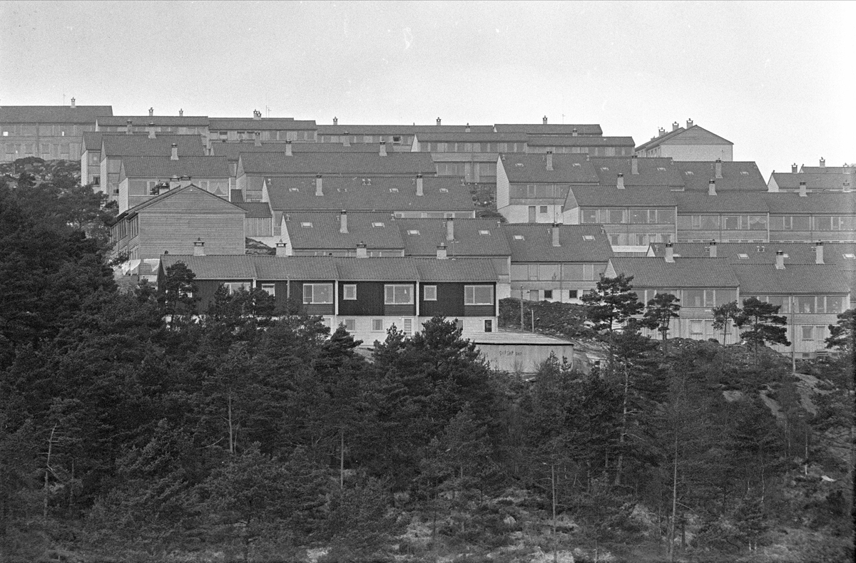 Bjørge, Bergen, 31.12.1962. Boligområde, rekkehus.
