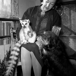 Sollihøgda, Bærum, Akershus. Kvinne med halvapen Cita og en 