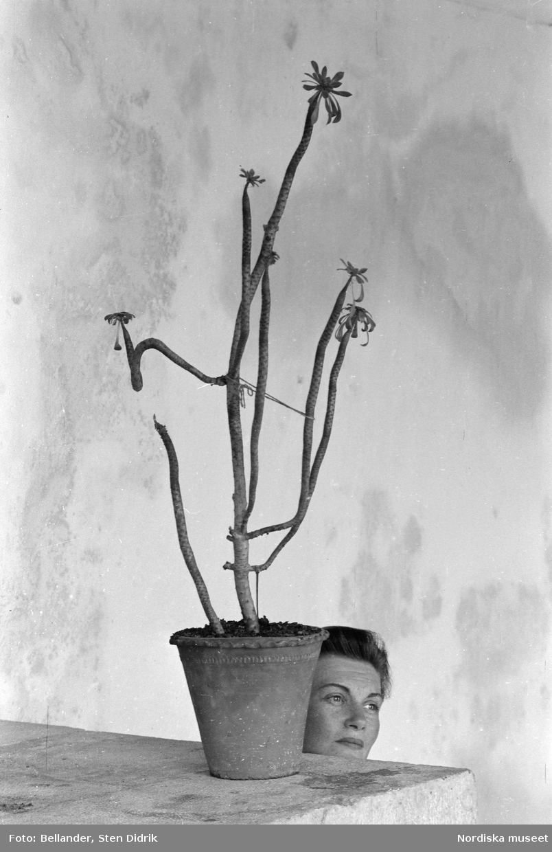 Fotografens hustru Elsie poserar vid en krukväxt.
Hvar, Jugoslavien.