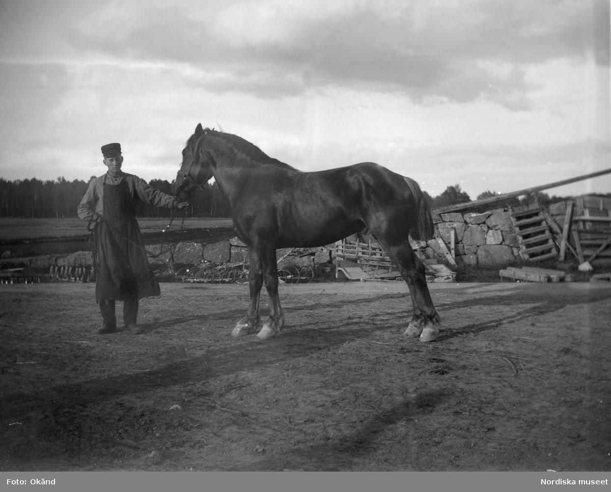 En man iklädd arbetsförkläde håller en häst. Bilden tagen på Julita gård i Södermanland.