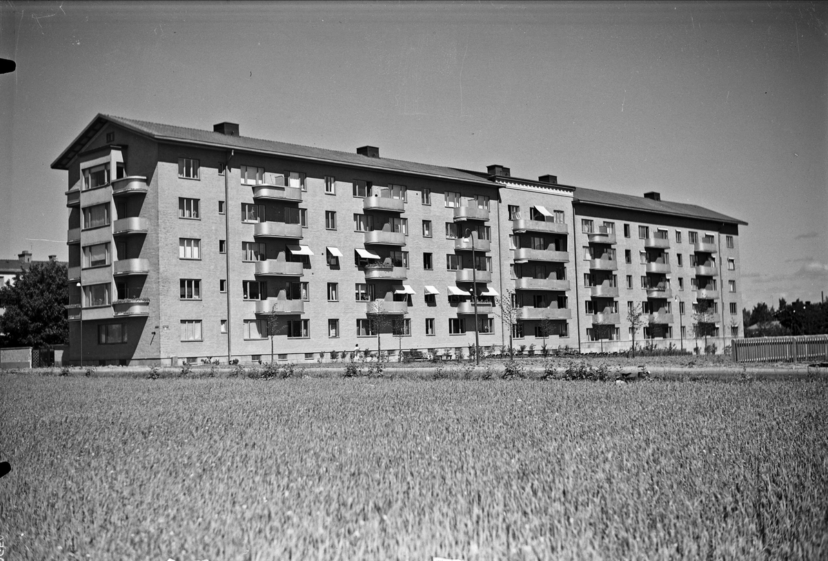 Flerbostadshus, bostadsrättsföreningen Esplanaden, kvarteret Tryggve, Luthagsesplanaden 24, Uppsala