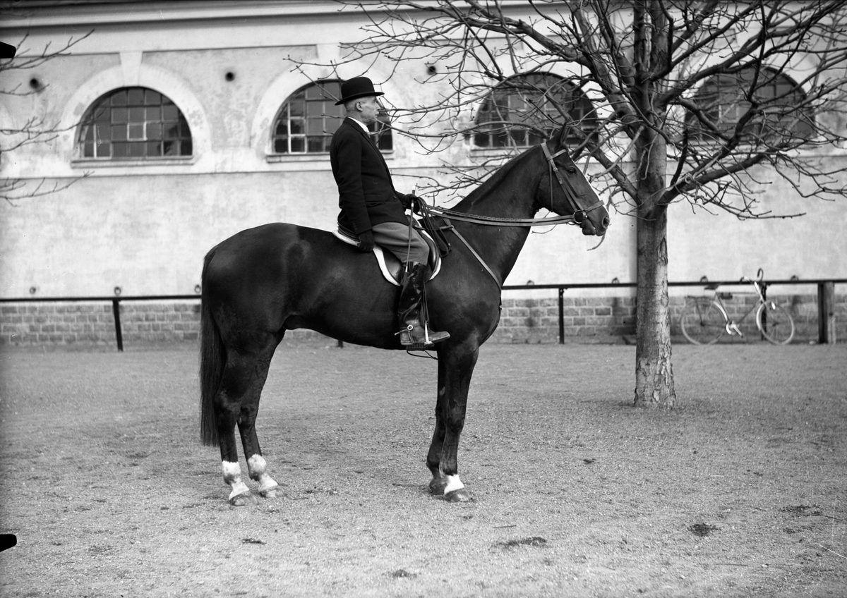 Greve Hamilton till häst, Uppland 1938