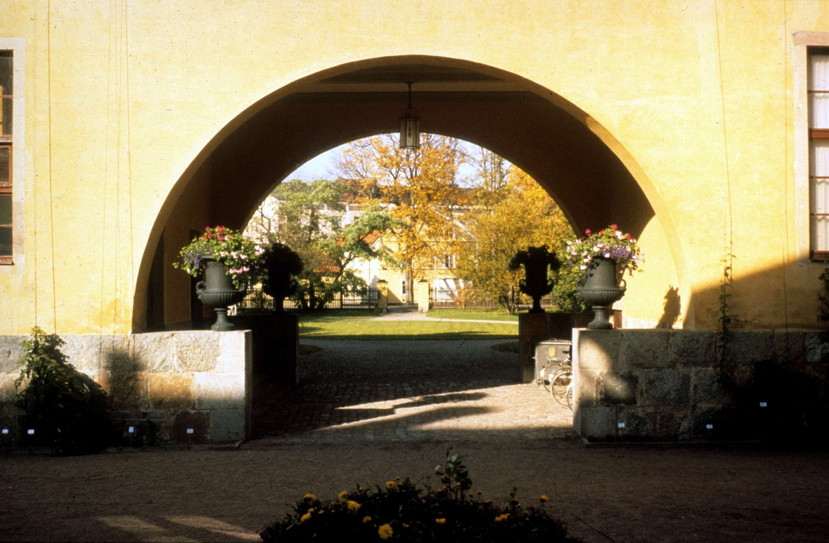 Linneanum, Botaniska trädgården, Uppsala 1987