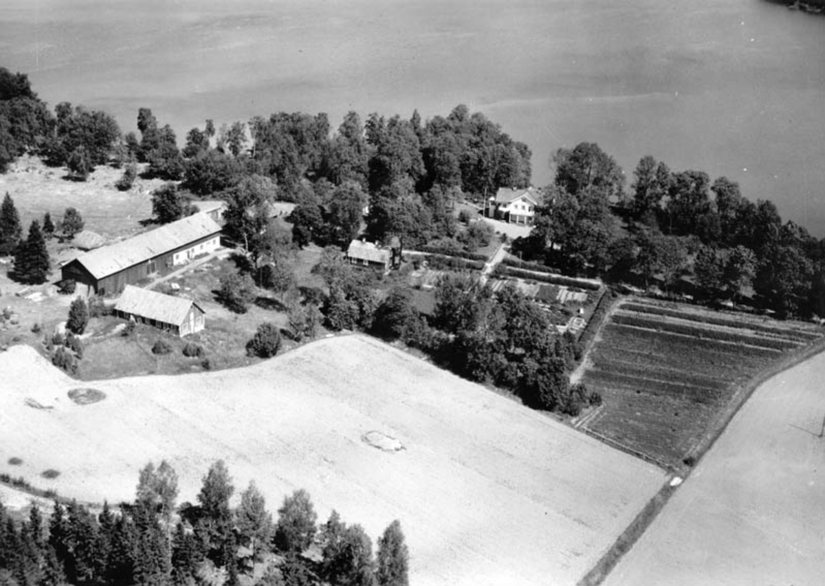 Flygfoto över Ledingenäs gård, Ledingenäs, Knivsta socken, Uppland 1947