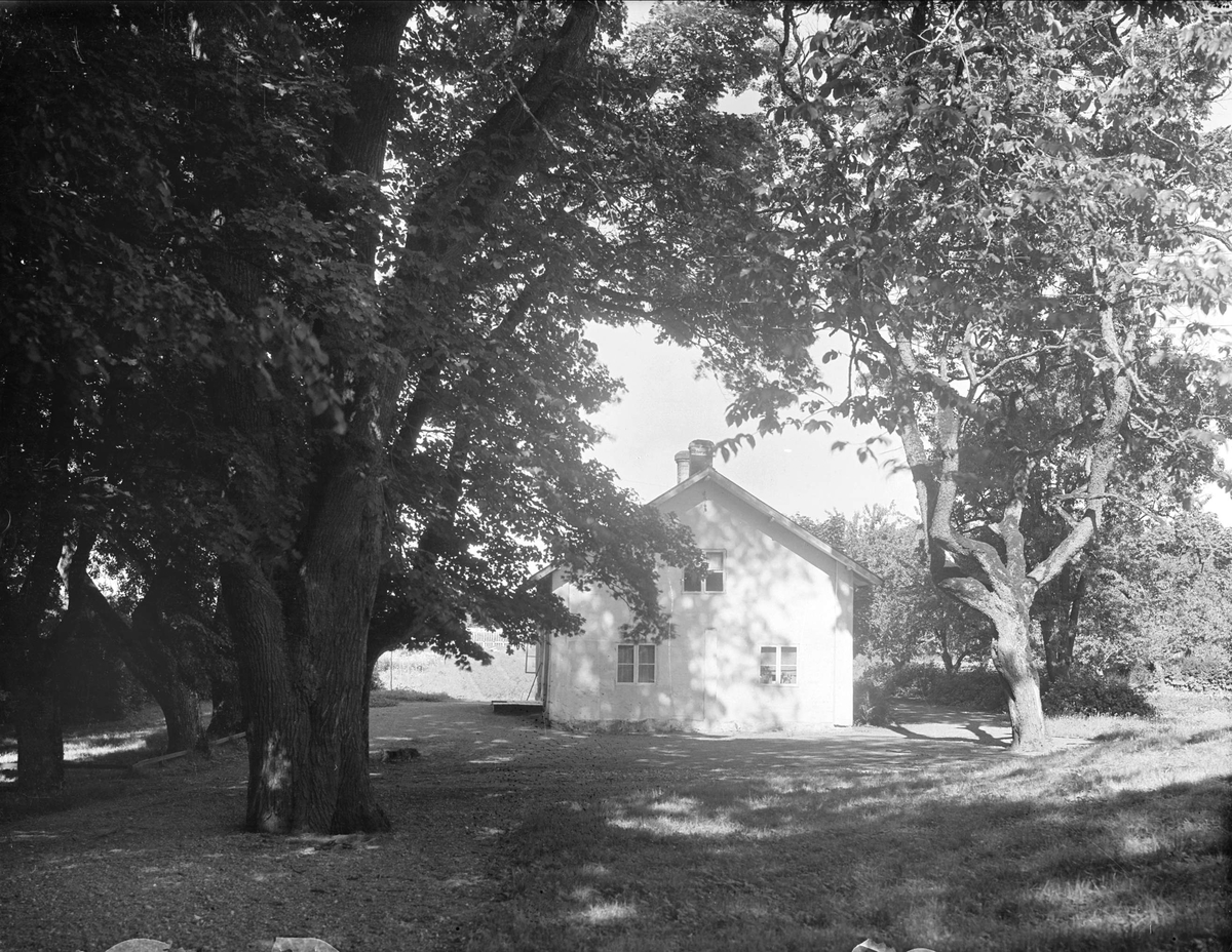 Bostadshus på Sätuna gårds ägor, Björklinge socken, Uppland 1930