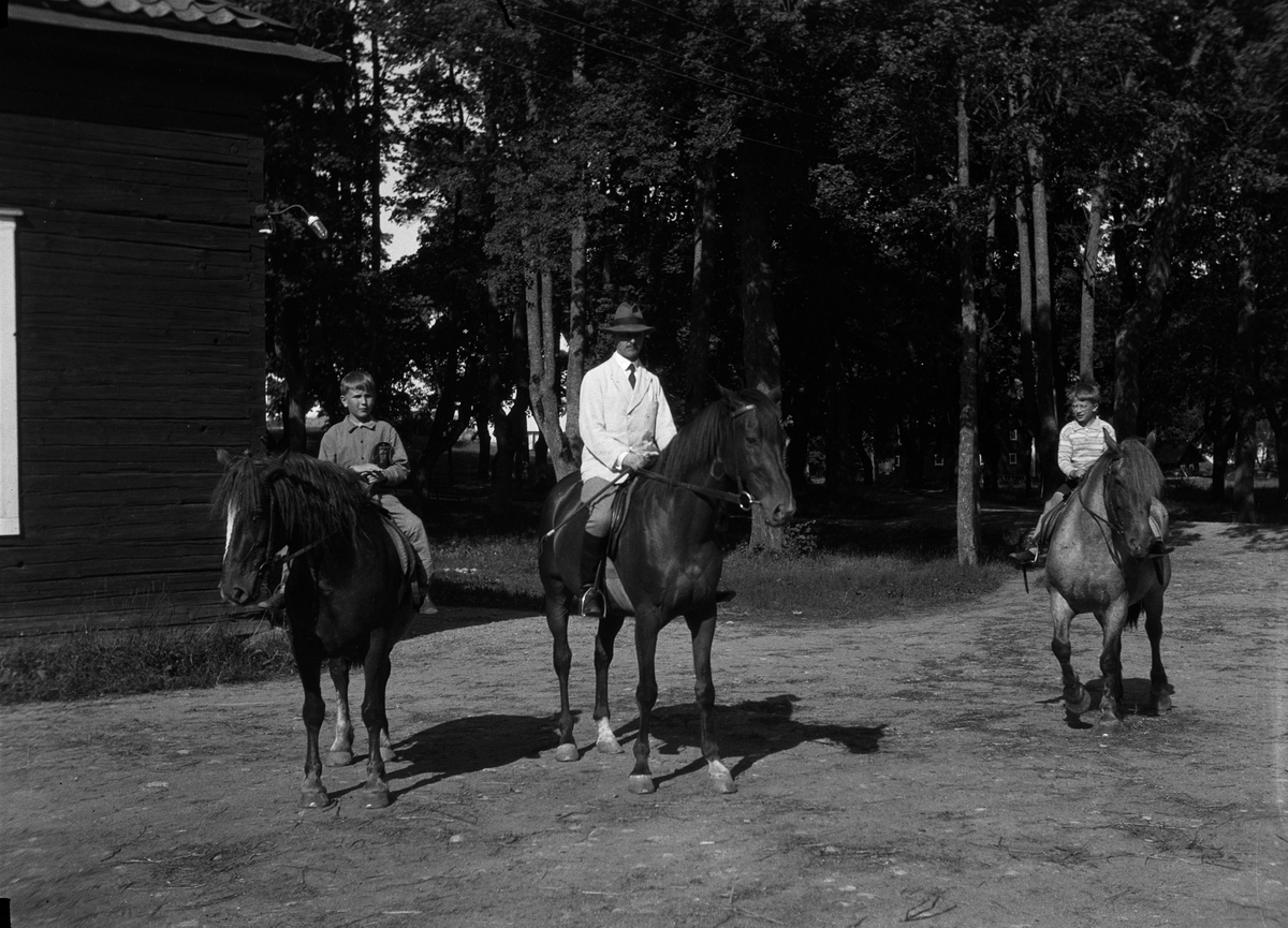 Man och två pojkar till häst, Sätuna gård, Björklinge socken, Uppland 1930