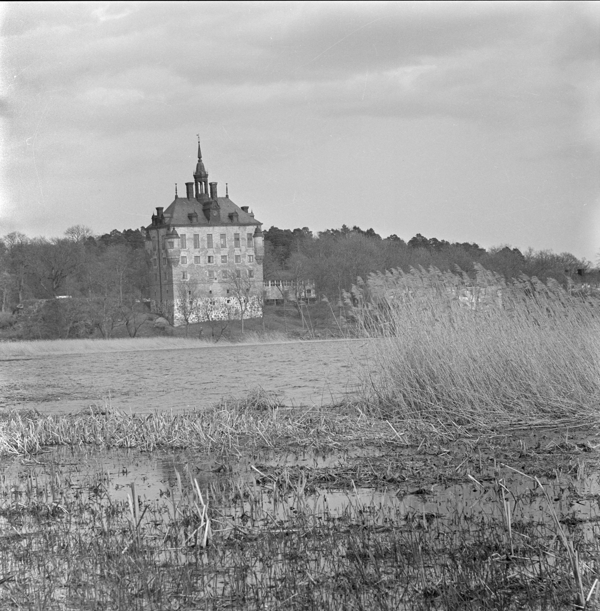 Parkområde vid Wiks slott, Vik, Balingsta socken, Uppland 1965