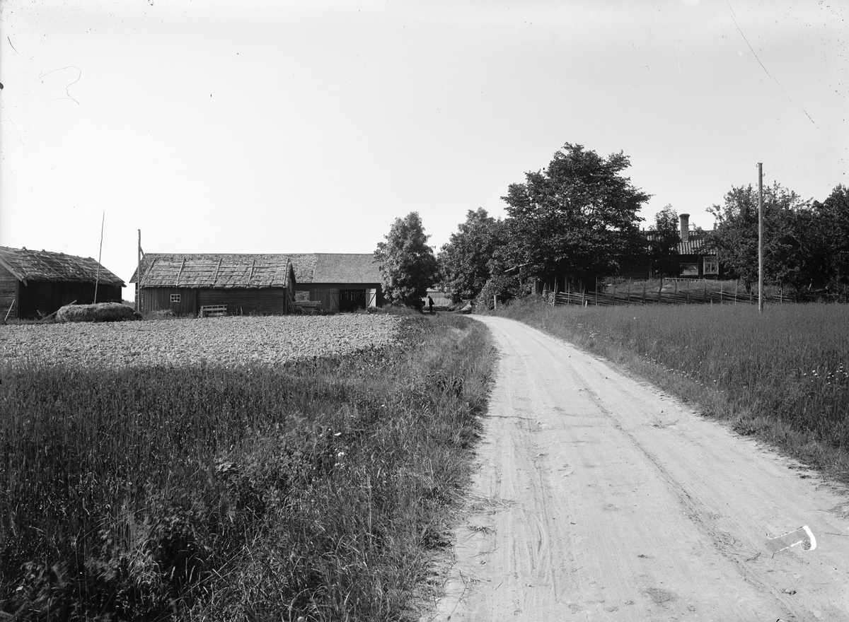 Gårdsmiljö, Locksta 1:5, Funbo socken, Uppland, sannolikt 1920-tal