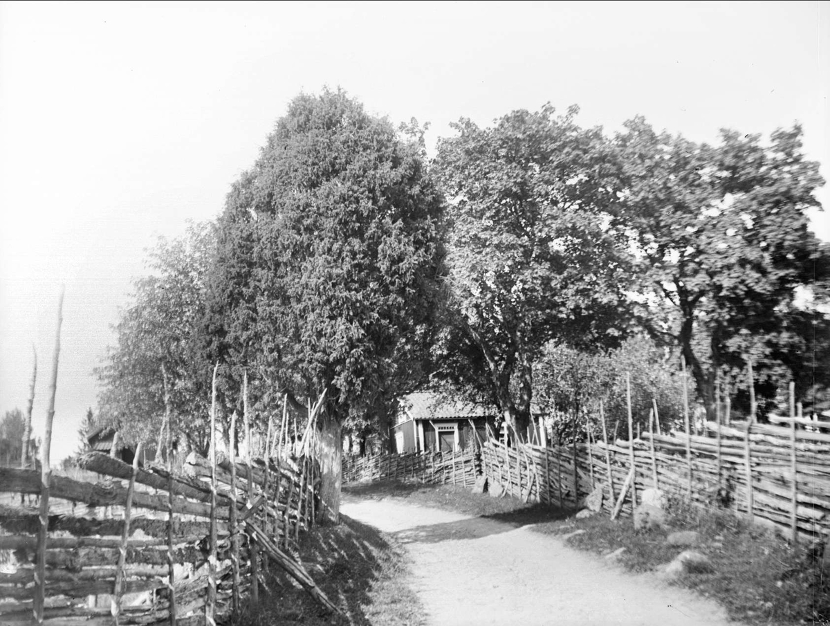 Väg med gärdesgård, vid Södersjön, Almunge socken, Uppland juni 1933