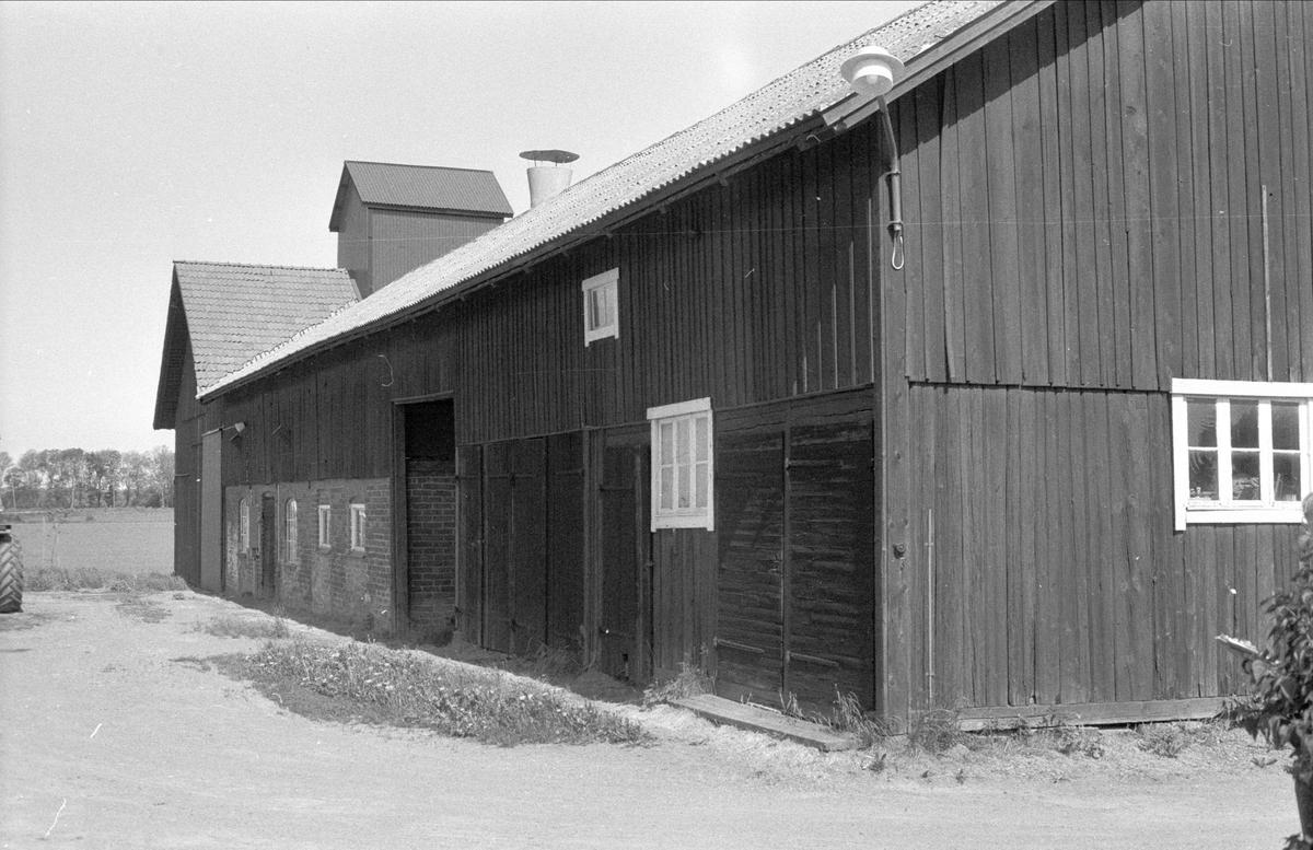 Ladugård, Forkarby 15:1, Bälinge socken, Uppland 1983