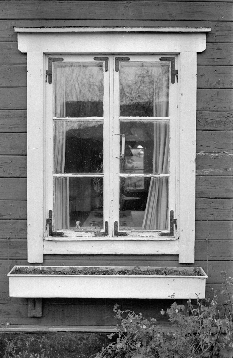 Fönster på bostadshus, Fullerö 21:35, Trekanten, Gamla Uppsala socken, Uppland 1978