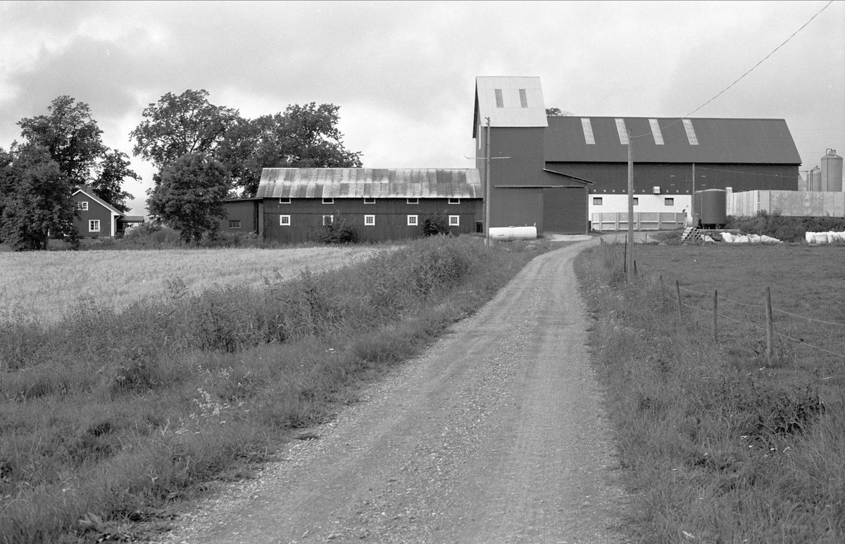 Vagnslider och spannmålstork, Gråmunkehöga gård, Gråmunkehöga 5:3, Funbo socken, Uppland 1982