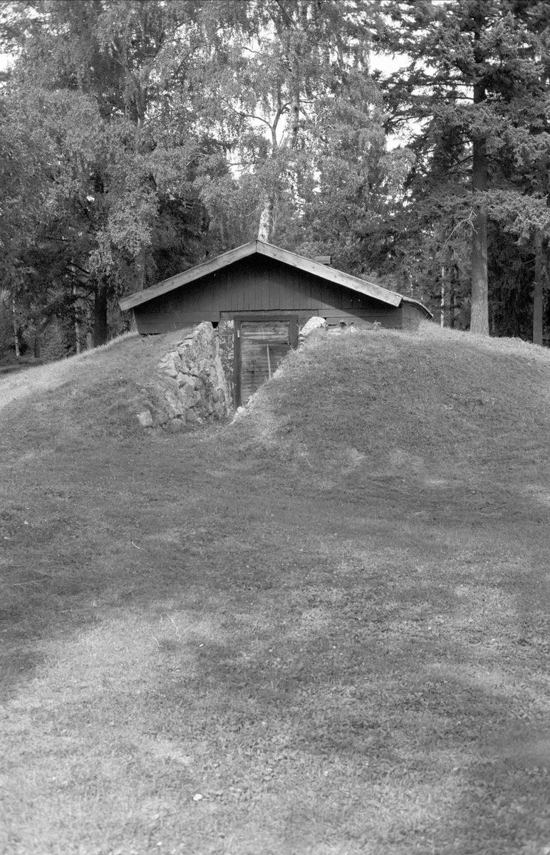 Pumphus, Gråmunkehöga 3:1, Gråmunkehöga, Funbo socken, Uppland 1982 