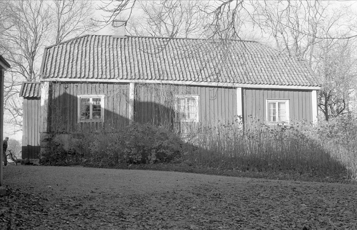 Bostadshus, Hässelby 5:1, Börje socken, Uppland 1983