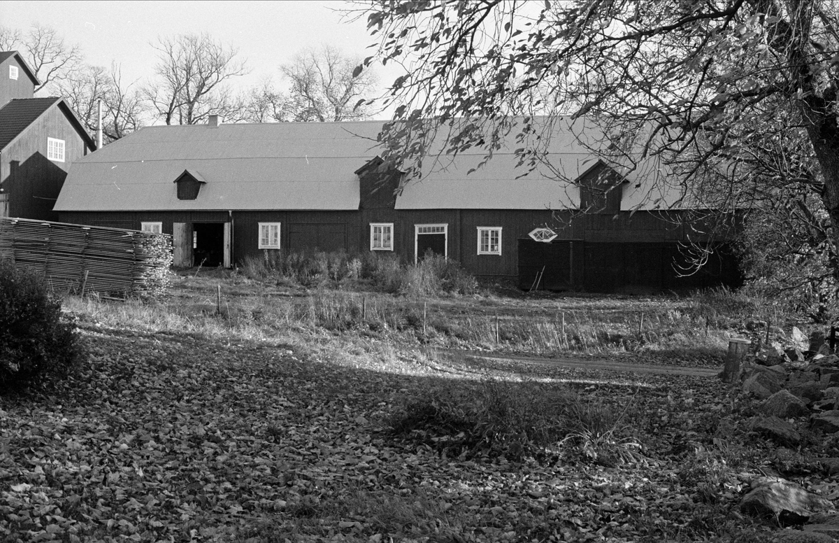 Spannmålstork, stall och vagnshus, Vik 1:1, Balingsta socken, Uppland 1984