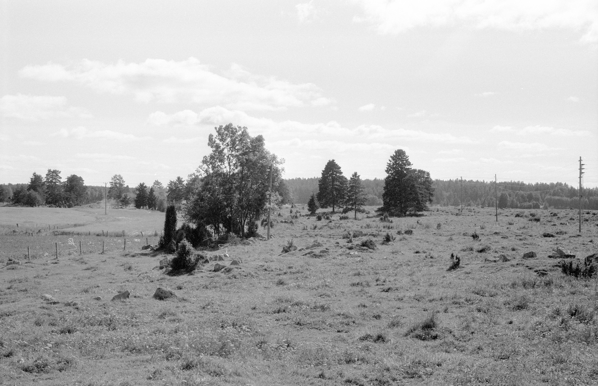 Beteshagar öster om prästgården, Knutby 1:1, Knutby, Knutby socken, Uppland 1987