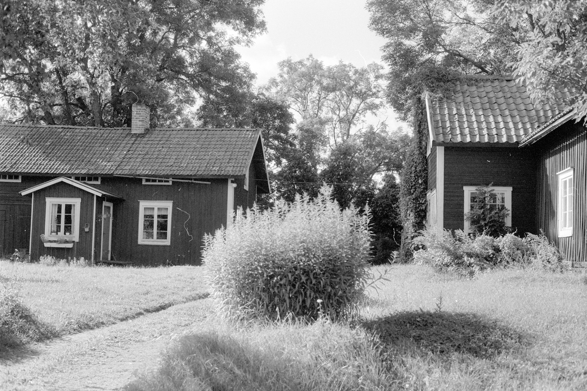 Brygghus och bostadshus, Norrgården, Gränsta, Knutby socken, Uppland 1987