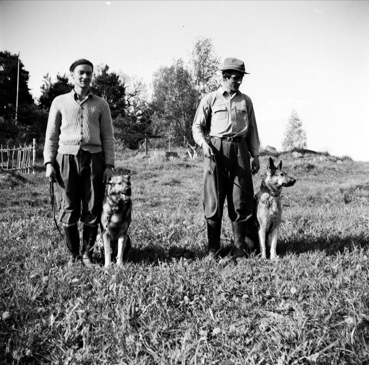 Svenska Brukshundklubbens Uppsalaavdelning, Uppsala maj 1953