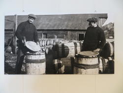 Fiske etter sild og laks