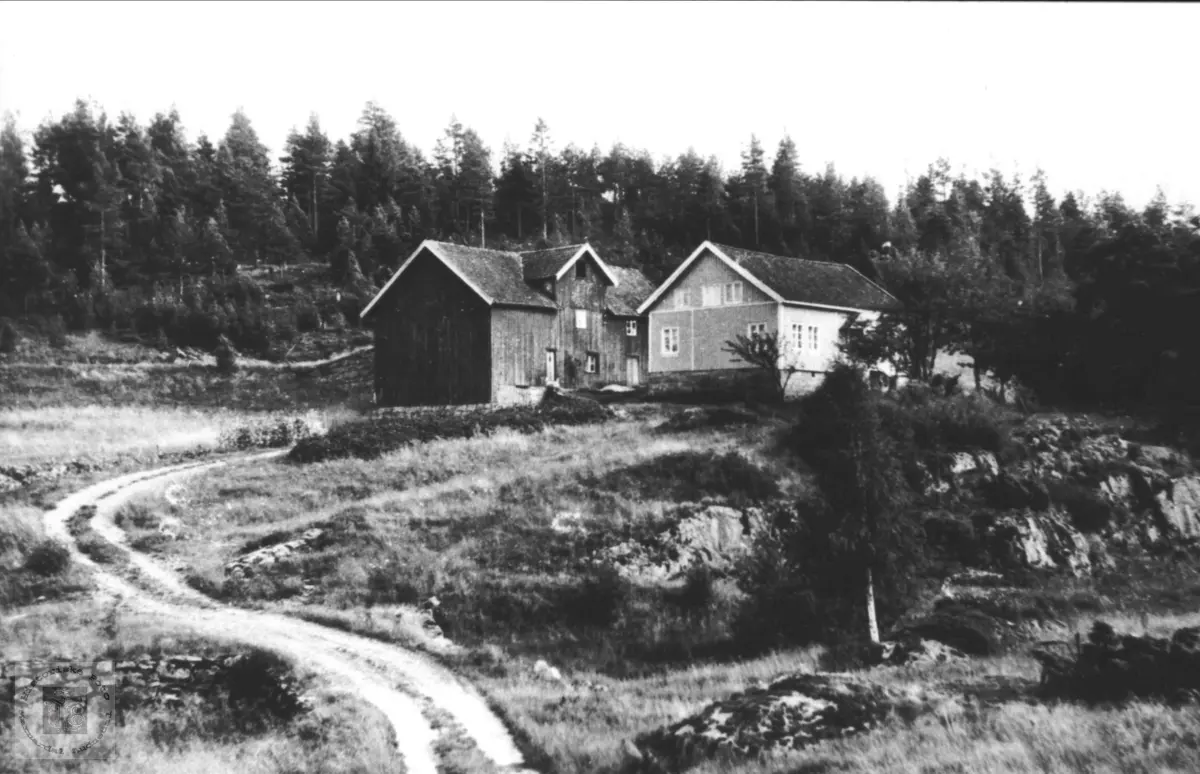Gardsbruk. Skogen (Thorsland) i Øyslebø.