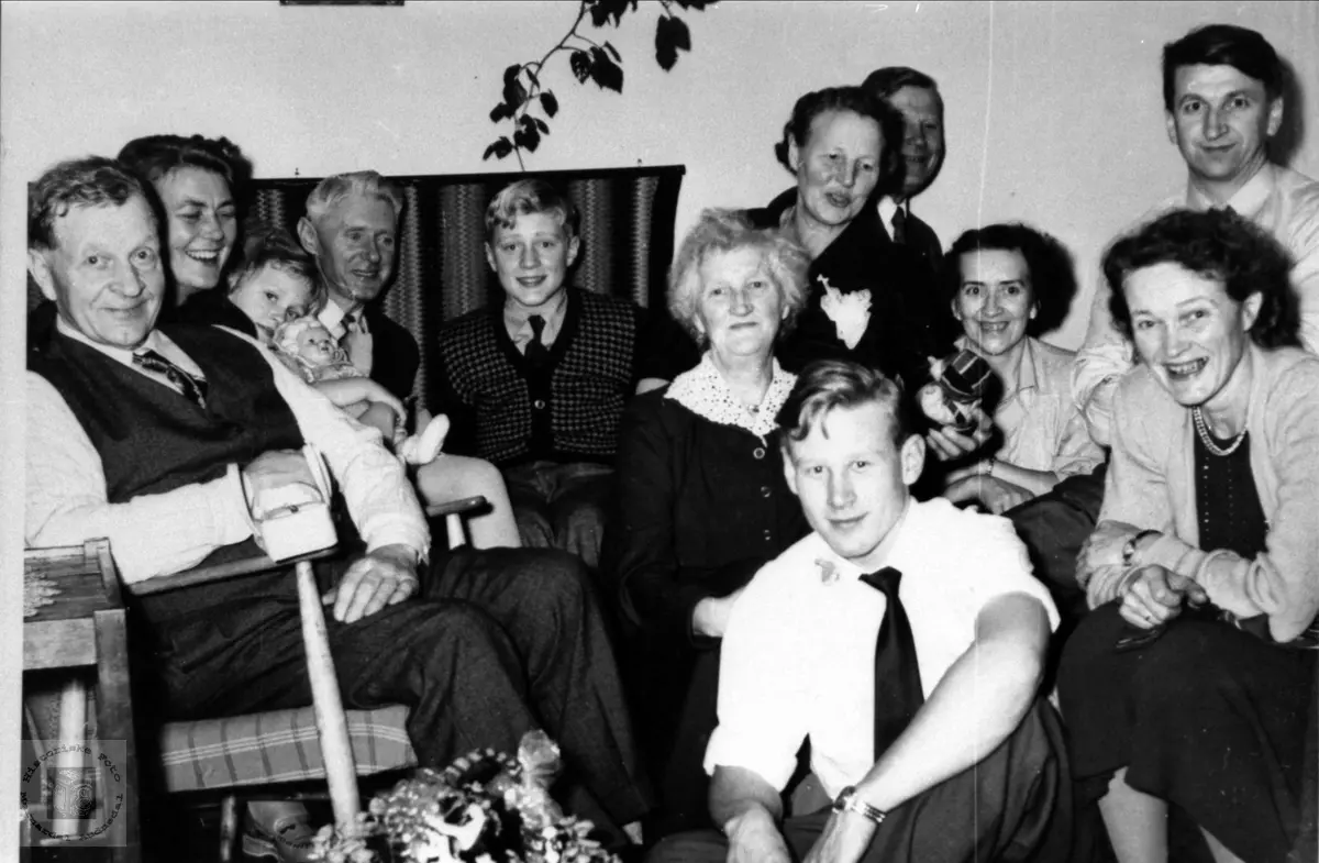 Familiegruppe Holmesland Øyslebø, Skjævesland.