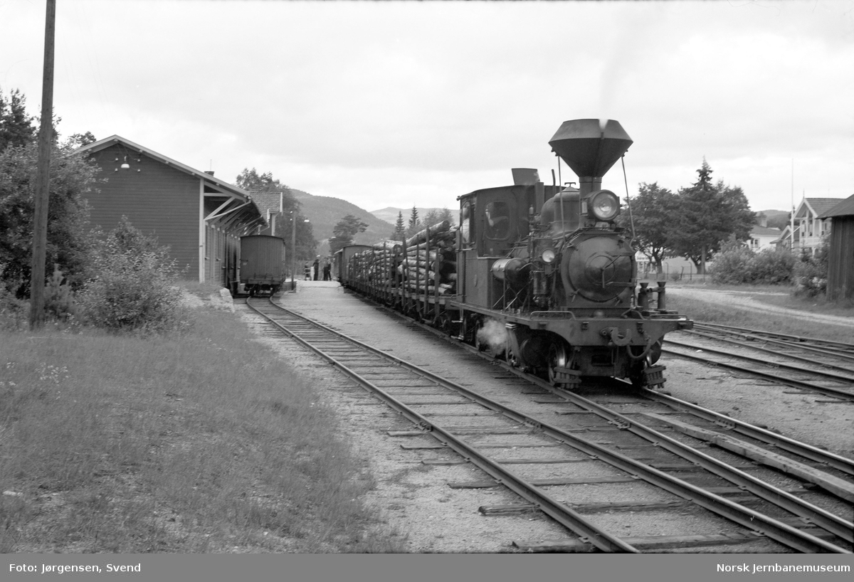 Damplokomotiv nr. 2 med godstog 5661 skifter på Evje stasjon
