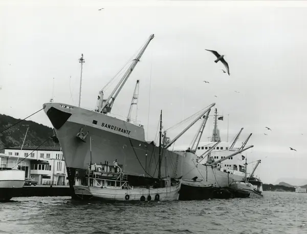 M/S Bandeirante (b.1960, Nederlandsche Dok En Scheepsbouw Maatschappij ...