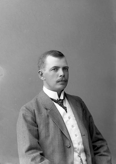 Enligt fotografens journal nr 2 1909-1915: "Bergqvist, Stationsskrifvare Herrljunga".
Enligt fotografens notering: "John Bergqvist stationsskrivare, Herrljunga".