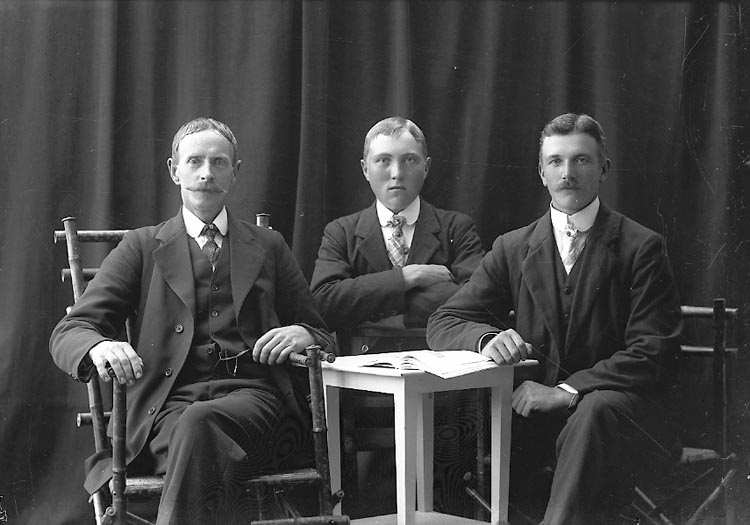 Enligt fotografens journal nr 2 1909-1915: "Mattsson, Albin, Vreland, Svanesund".
