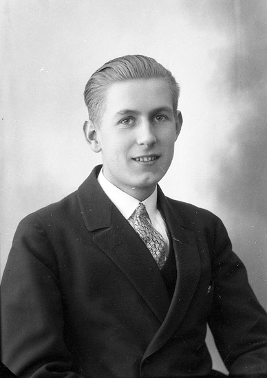 Enligt fotografens journal nr 5 1923-1929: "Josefsson-Willsjö, Herr Arne Björkliden Här".