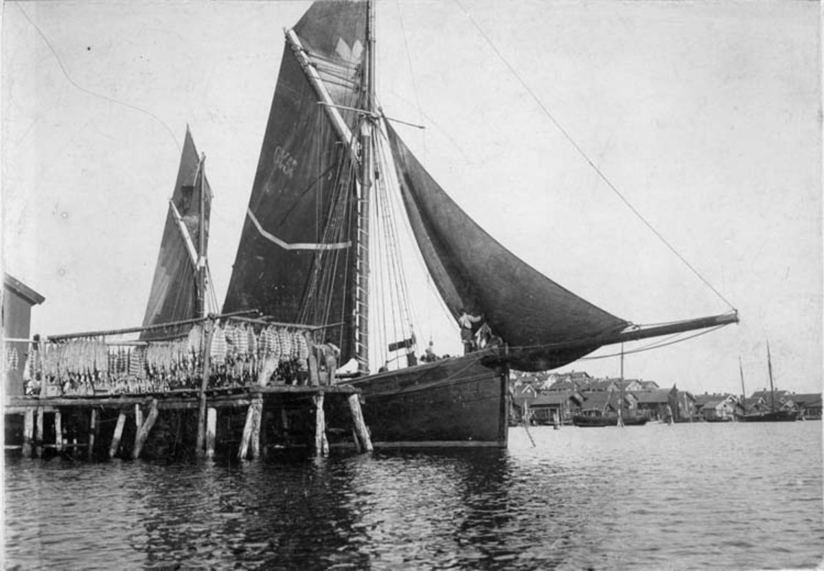 Fotot är taget: 1901-08-13

Mollösund foto