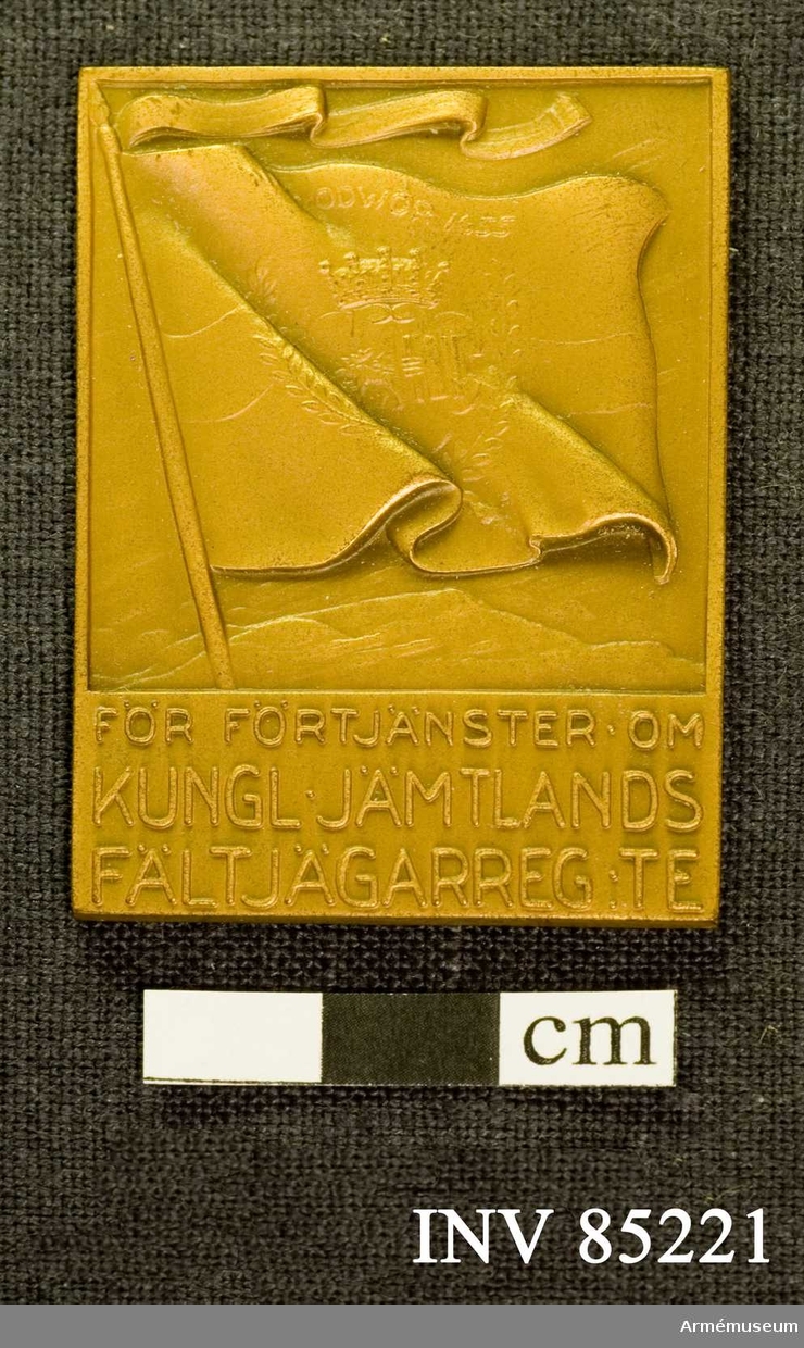 Grupp: M II 
Kungliga Jämtlands fältjägarregementes förtjänstplakett i brons.