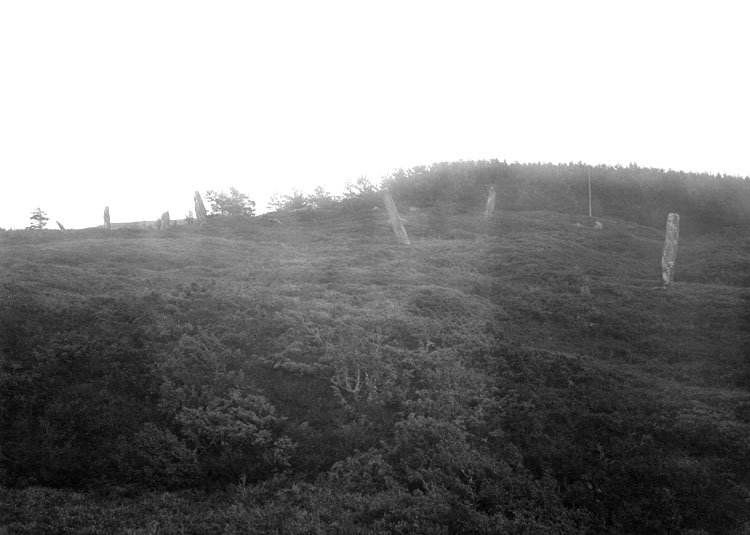 Juli 1924. Greby gravfält med resta stenar.